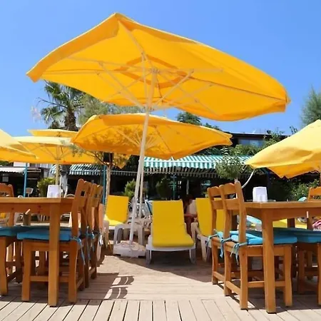 Hotel Manolya *